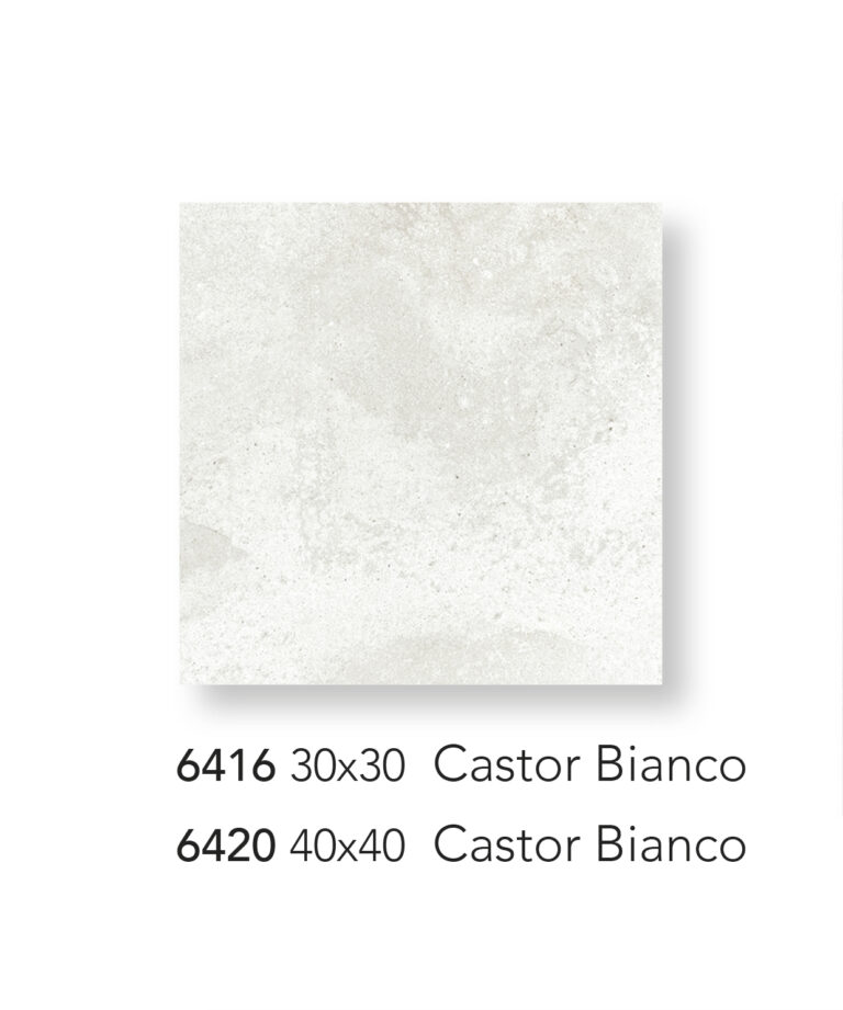 6420 30x30  Castor Bianco"